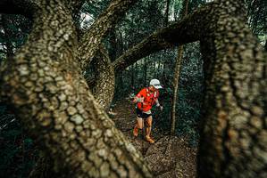 BIB: 
                            <button type="button" onclick="openModal(25669686)" class="btn btn-primary btn-sm float-right btn-popup" data-toggle="modal" data-target=".modal-high-quality">
                        <i class="fas fa-shopping-cart"></i> Add to Cart
                    </button>
                                            <button type="button" onclick="isThisMe(25669686, true)" class="btn btn-success btn-sm float-right btn-popup btn-isme hidden" data-toggle="tooltip" data-placement="bottom" title="นี่คือรูปของคุณใช่ไหม คลิกที่นี่เพื่อเอาเข้าอัลบั้ม">
                        <i class="fas fa-plus"></i> Add to album
                    </button>
                    <button type="button" onclick="isThisMe(25669686, false)" class="btn btn-warning btn-sm float-right btn-popup btn-isnotme hidden">
                        <i class="fas fa-ban"></i> Remove from album
                    </button>